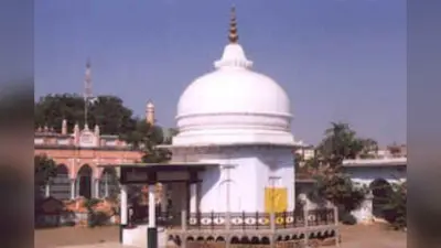 पति की लंबी उम्र के लिए महिलाओं ने रखा व्रत, फतुहा और दनियावां में वट वृक्ष के पास उमड़ी श्रद्धा
